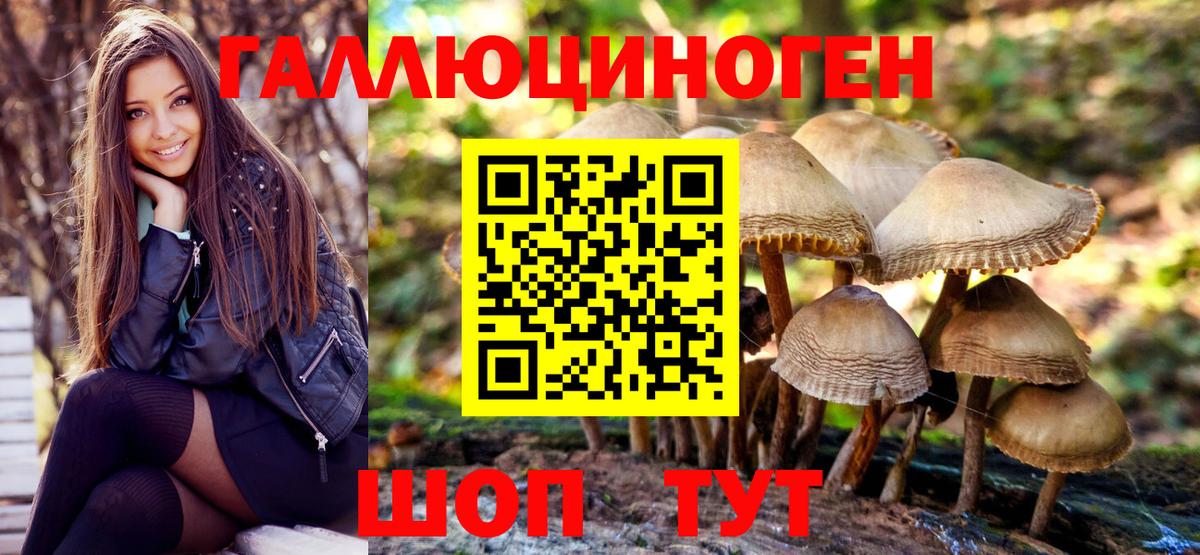 Тосно  Псилоцибиновые грибы ЛСД  Вход с VPN 