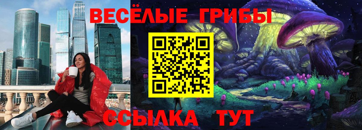 Галлюциногенные грибы ЛСД Тосно