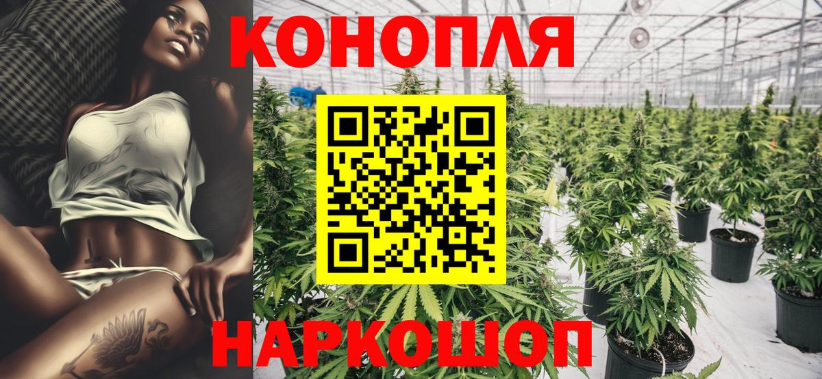 Шишки марихуана VHQ Тосно